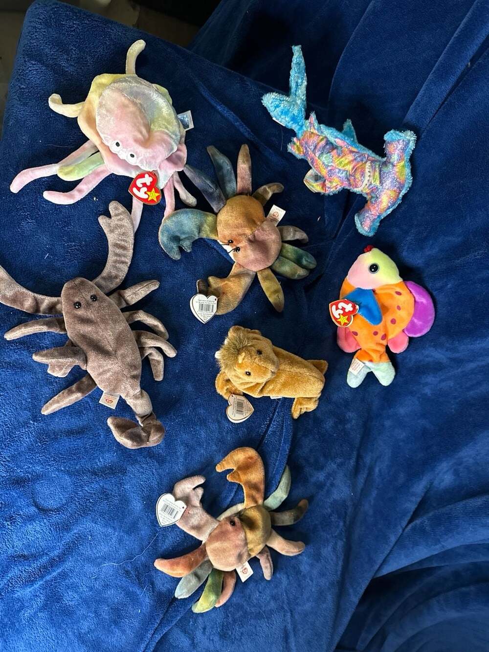 Ty Beanie Babies Sea Life Lot of 7 - Goochy, Sledge, Lips, Claude (2), Paul, Sti